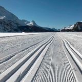Tra Sils Maria e Maloja sulla pista da sci di fondo – cosa c'è di più bello?
