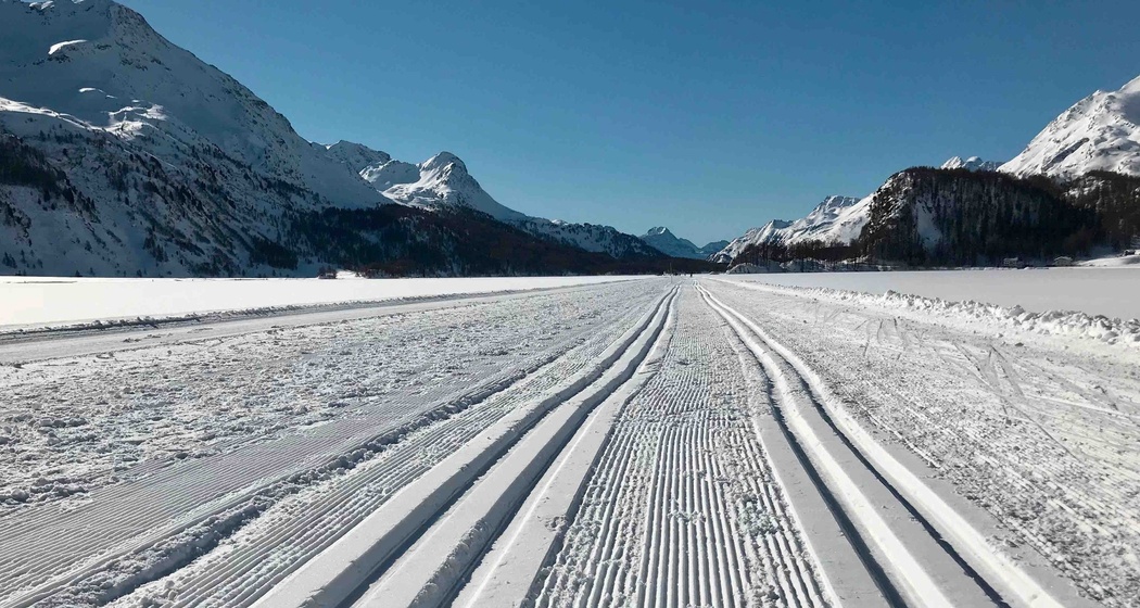 Zwischen Sils Maria und Maloja auf der Loipe – was gibt es Schöneres?