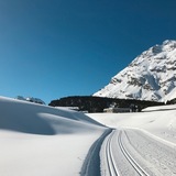 pista per sci di fondo Maloja