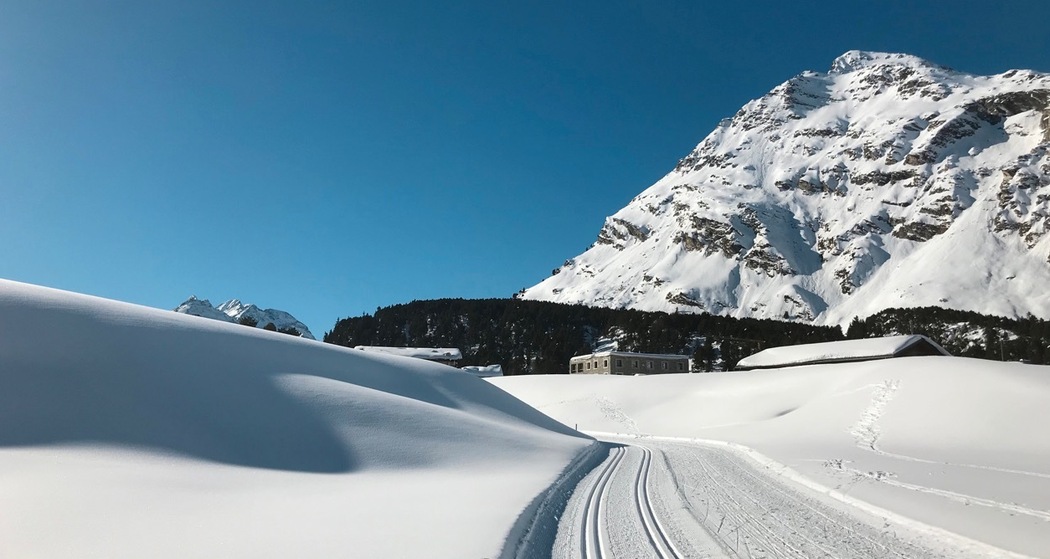 Langlaufloipe Maloja
