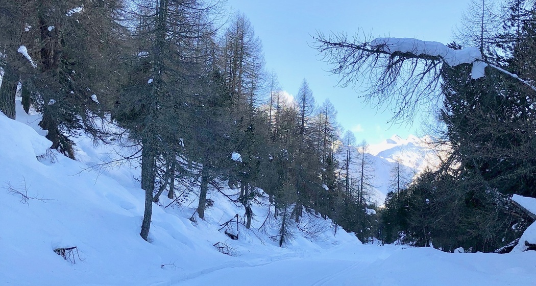 Loipe bei La Palza, am höchsten Punkt der Tour