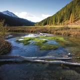 At the bank of the Rom