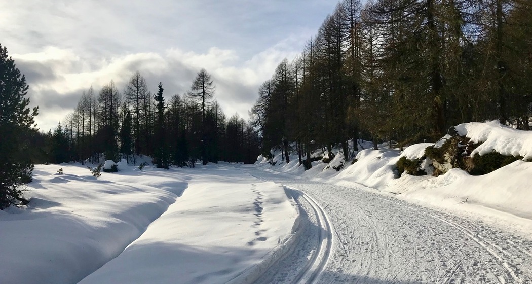 Wanderweg und Loipe bei Plan Curtinacc