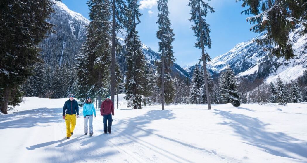 Monbiel - Alp Garfiun - Klosters Platz (oua_44153781_image)