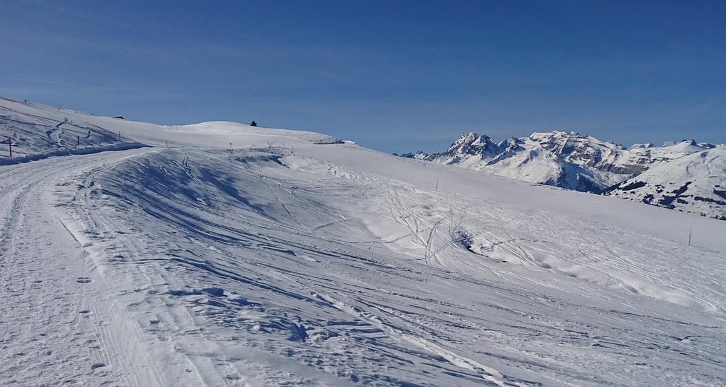 Cuolm Sura - Bündner Rigi (oua_44154062_image)