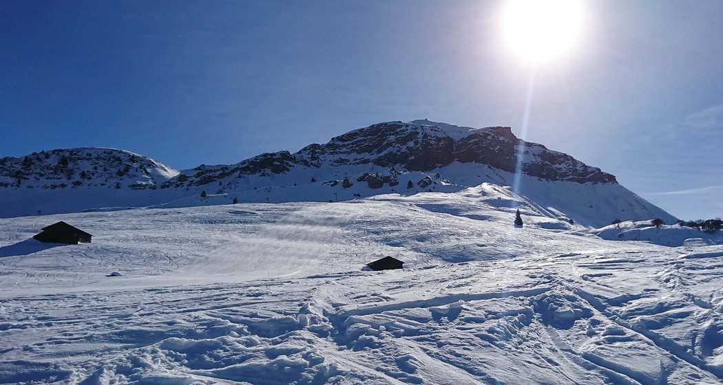 Cuolm Sura - Bündner Rigi (oua_44154063_image)