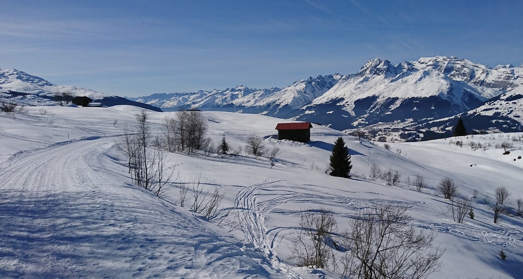 Cuolm Sura - Bündner Rigi (oua_44154064_image)