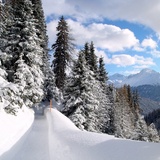 Davos Platz - Schatzalp - Strela Alp (oua_44154107_image)