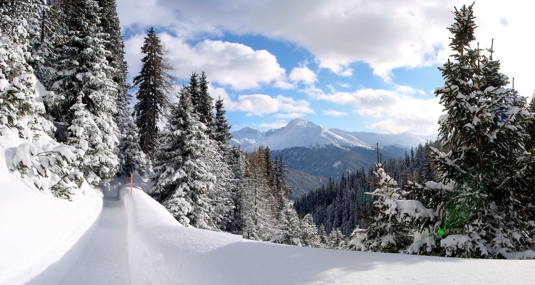 Davos Platz - Schatzalp - Strela Alp (oua_44154107_image)