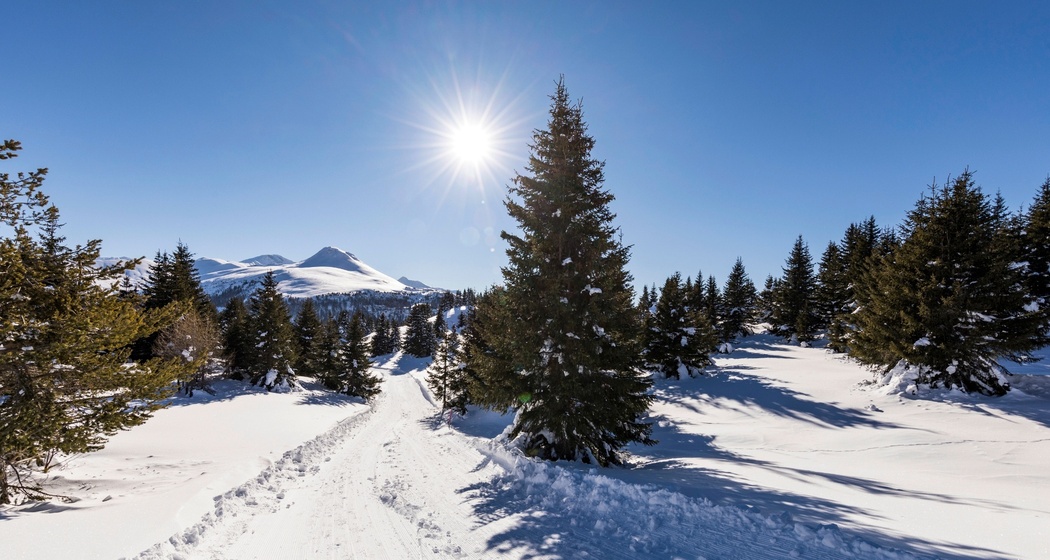 Winterwanderweg Muttner Höhe