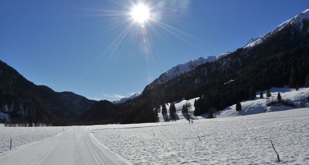 Hundeloipe Rona (oua_44268237_image)