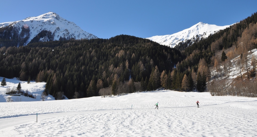 Hundeloipe Rona (oua_44268244_image)