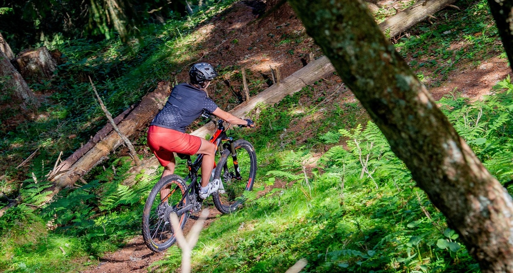 Singletrail Ruschein-Ilanz