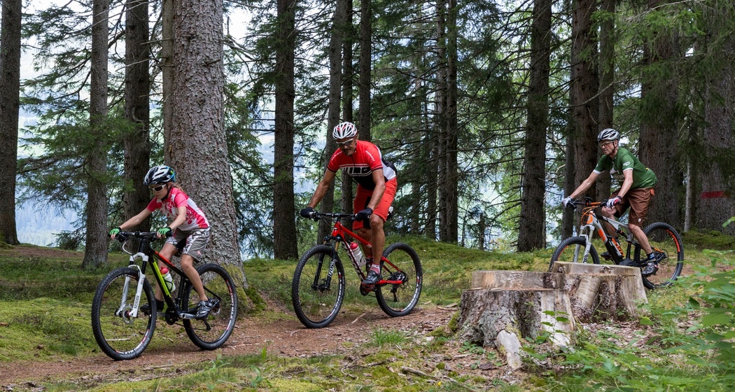 nordlichtphoto.com - Steffi Blochwitz