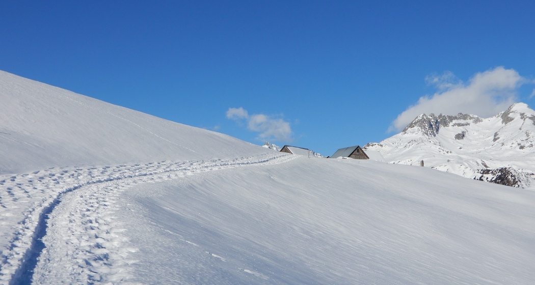 Alp Pazzola - unser Ziel