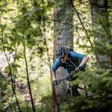 Action in the woods