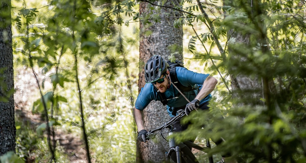 Action in the woods