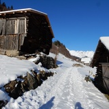 Path towards Vergera