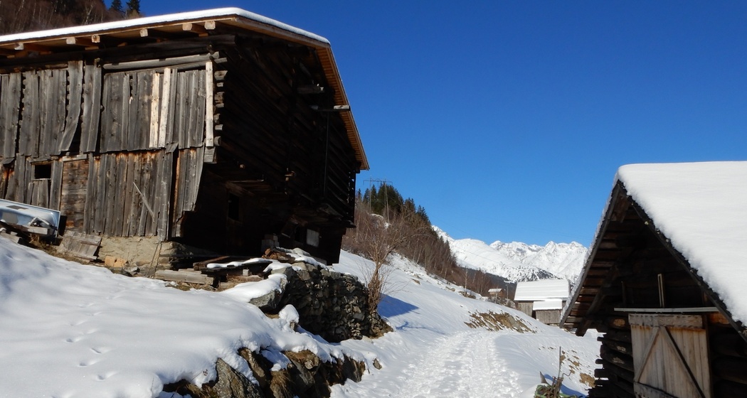 Fahrweg Richtung Vergera