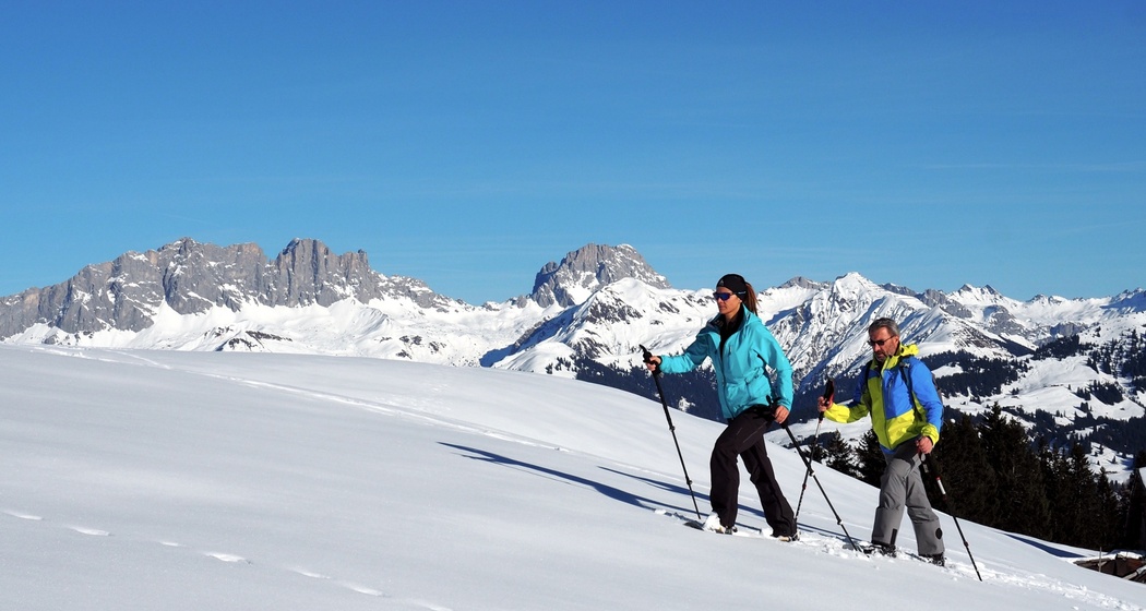 Schneeschuhwandern auf Grüsch-Danusa im Prättigau