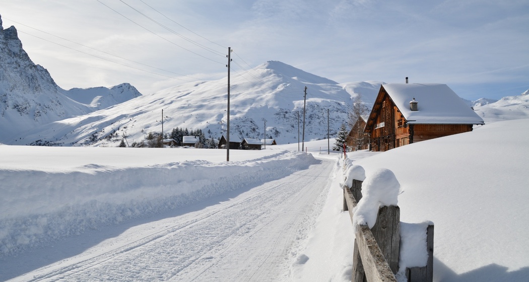 Radons - Bargias - Alp Nova (retour) (oua_44902049_image)