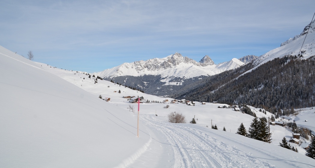 Radons - Bargias - Alp Nova (retour) (oua_44902053_image)