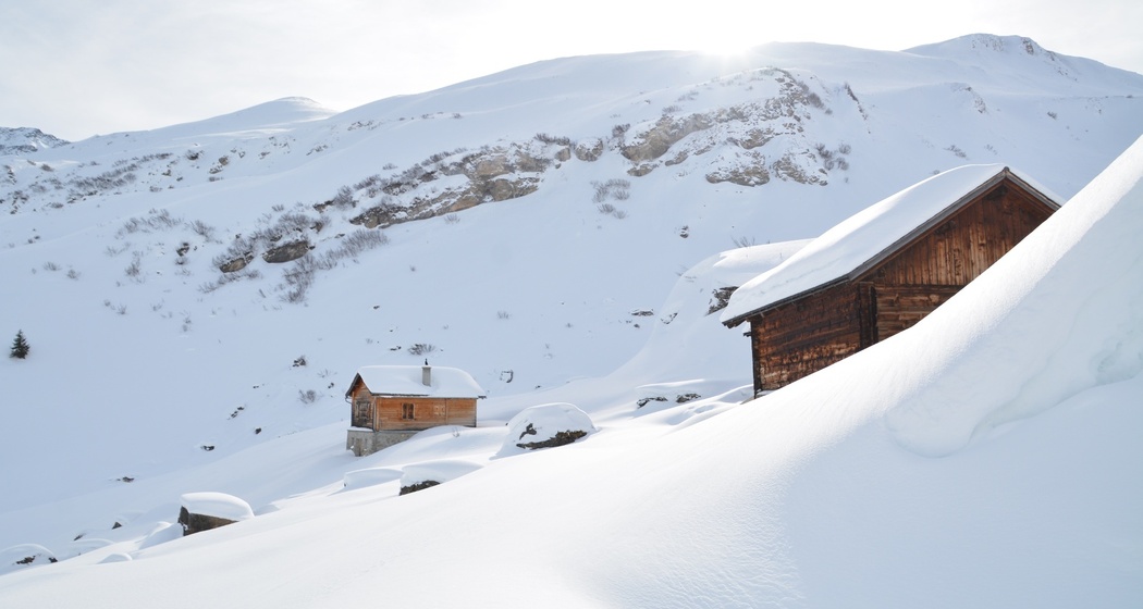 Radons - Bargias - Alp Nova (retour) (oua_44902068_image)