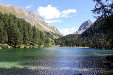 Grillstelle Lai da Palpuogna (oua_44945449_image)