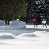 Garfiuner Roller Coaster (oua_44983156_image)