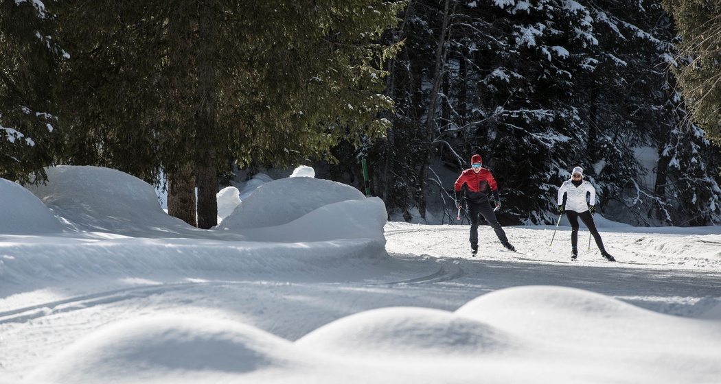 Garfiuner Roller Coaster (oua_44983156_image)