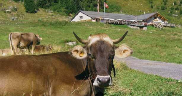 Rundwanderweg Klosters Etappe 4 -Alpenrundtour (oua_45097120_image)