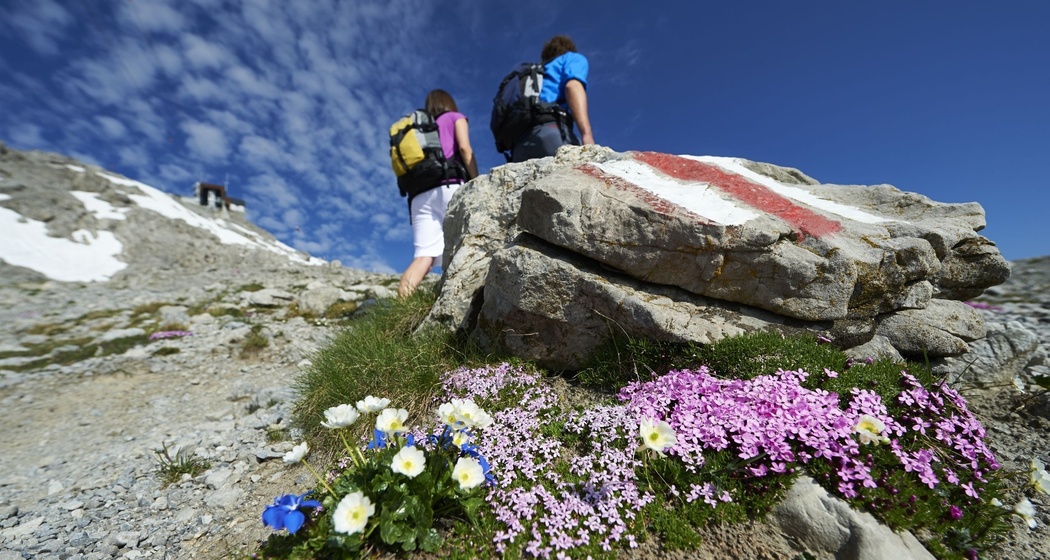 Restaurant Weissfluhgipfel (oua_45097293_image)