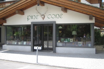 Pine Cone (oua_45097948_image)