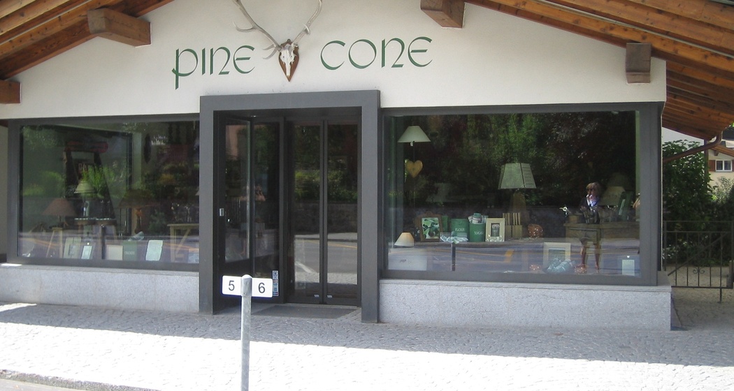 Pine Cone (oua_45097948_image)