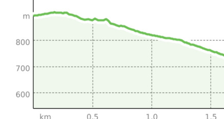 Back to town (oua_45251953_66fd09a_profile)