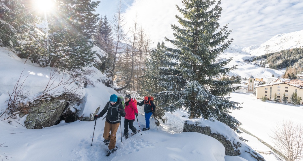 Schneeschuh_Bivio