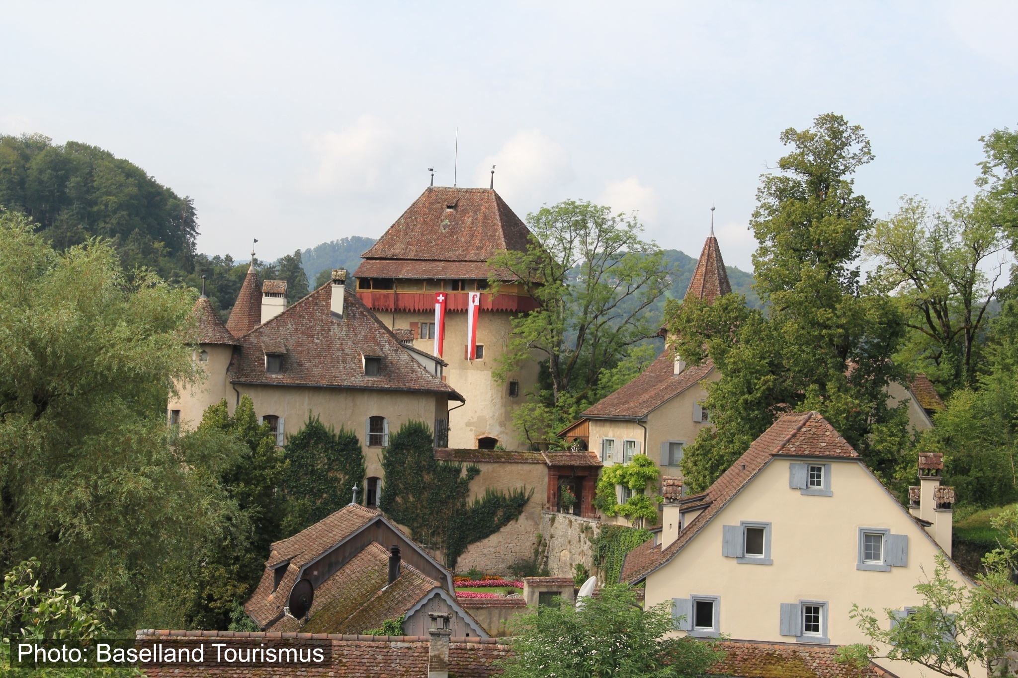 469 Wildenstein - Ryfenstein