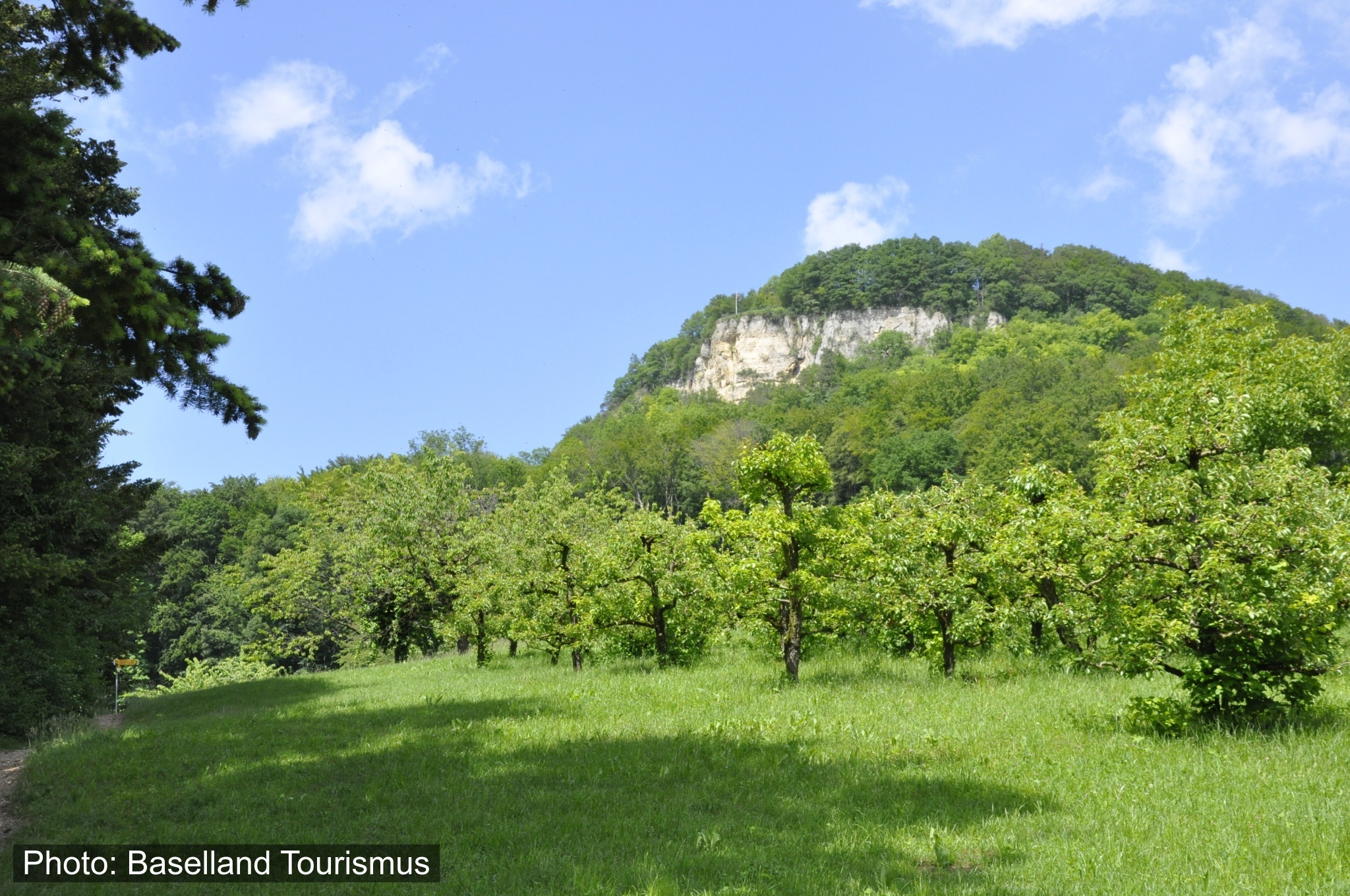 Liestaler Aussichtsturm - Sissacherfluh