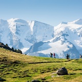 Blick von der Alp Languard zur Bernina Gruppe