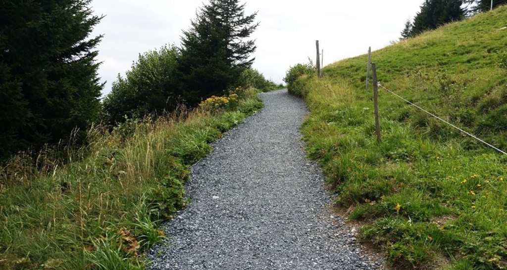 Bergweg auf dem Trail