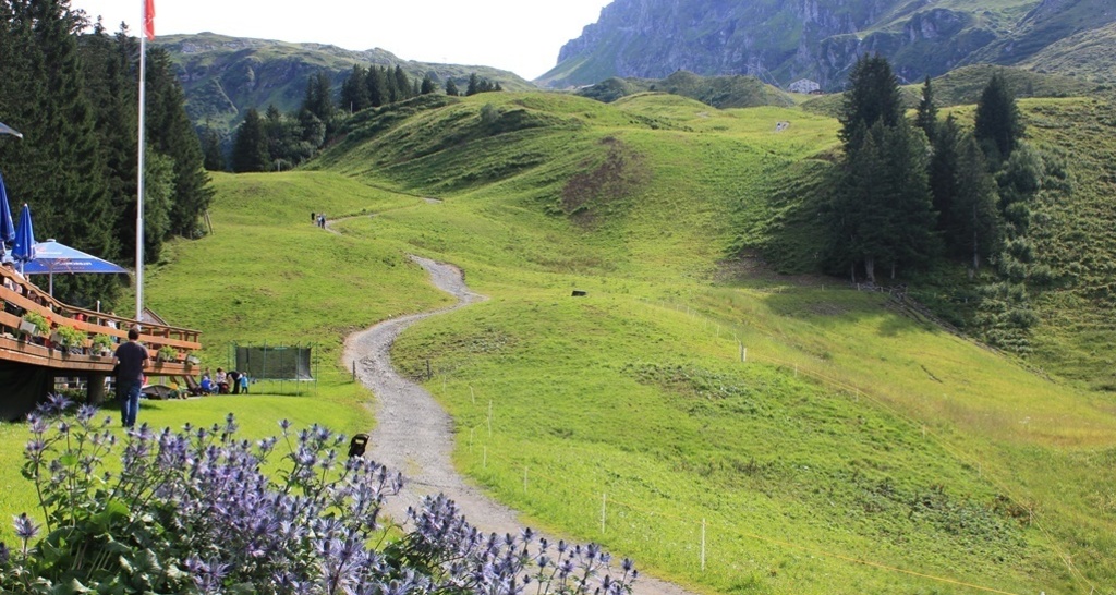 Blick von der Furt bergwärts