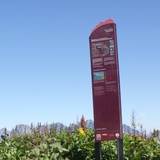 Unterwegs im UNESCO-Weltererbe Tektonikarena Sardona