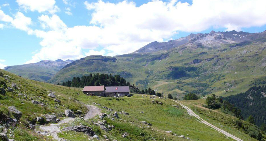 Alpbeiz auf der Alp Natons (oua_45519578_image)