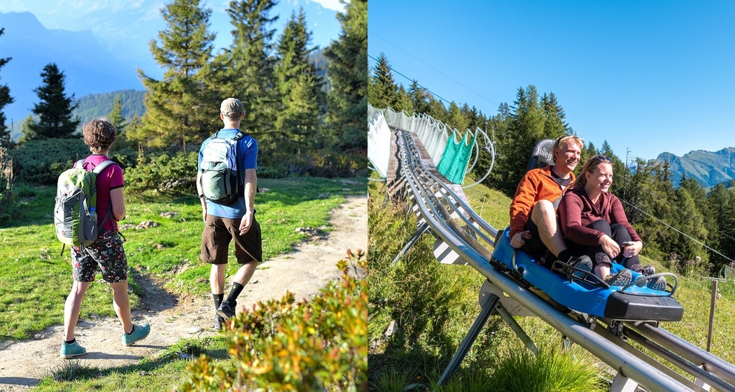 Dreibündenstein Erlebnisrodeln