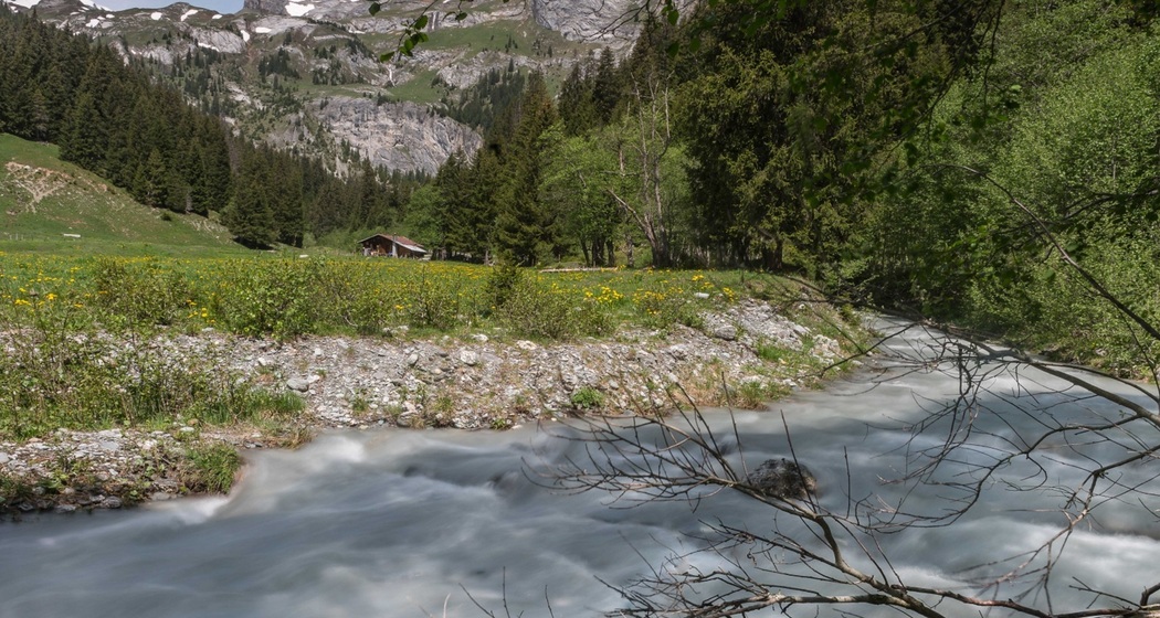 Bachlandschaft Ladral (Kinderwagentauglich) (oua_45691832_image)