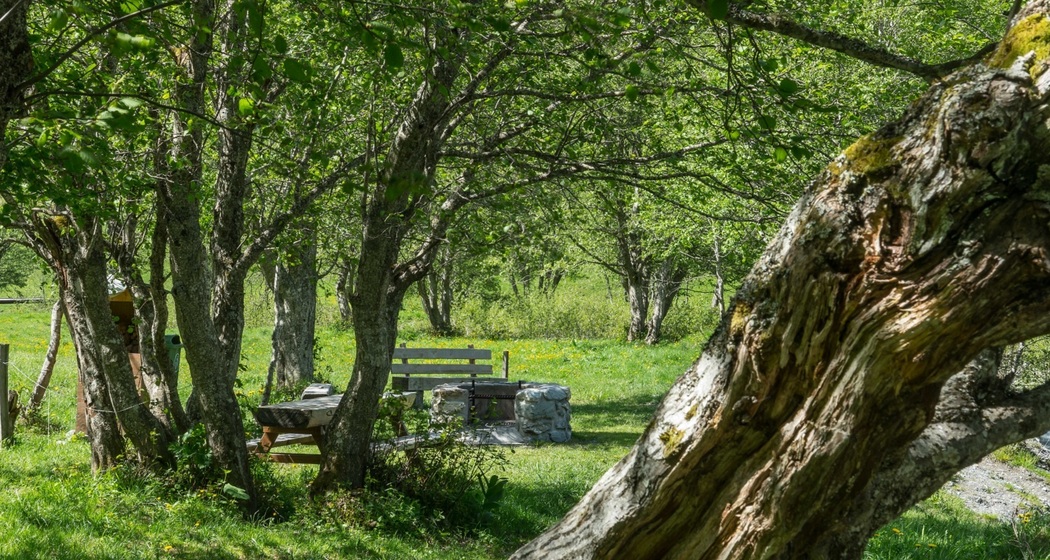 Bachlandschaft Ladral (Kinderwagentauglich) (oua_45691835_image)