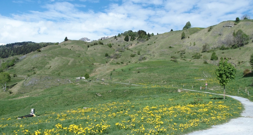 Wanderweg Vella Bual