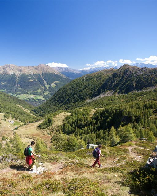 Val dal Saient