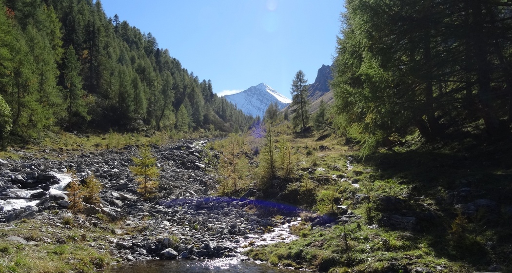 Acla da Fans - Val Sampuoir (oua_45861892_image)