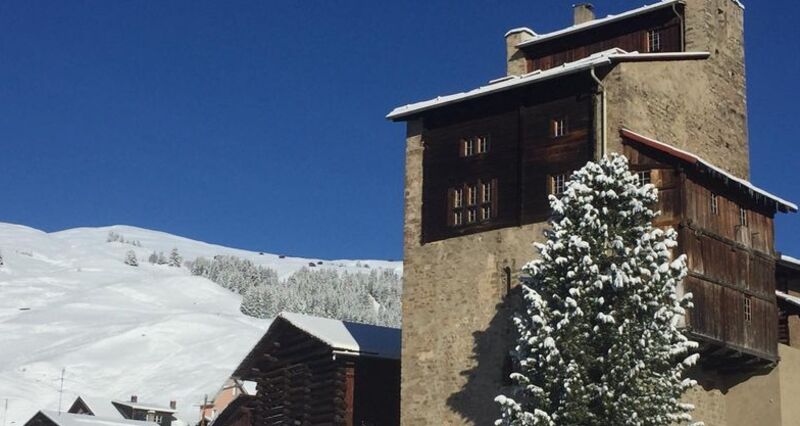 Chisti Lumerins, Winter